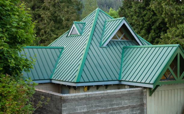 Best Solar Panel Roofing Installation  in Roseville, MI