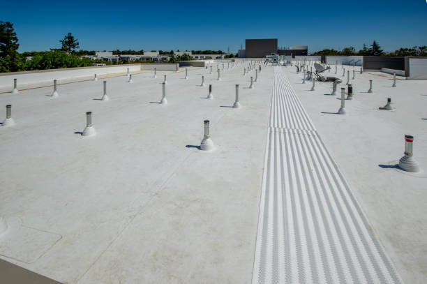 Best Sheet Metal Roofing  in Roseville, MI